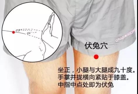 伏兔穴是足阳明胃经上的穴位,胃经多气多血,气血活了,腰部就能得到